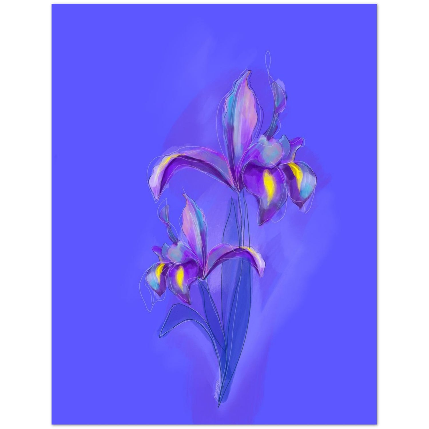 Front view of February Iris birth flower greeting card with botanical artwork.