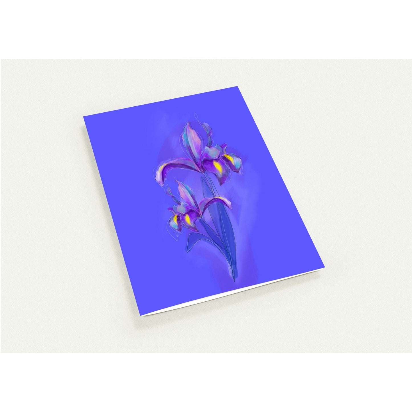 February Iris birth flower greeting card on beige background – pack of 10 floral cards.