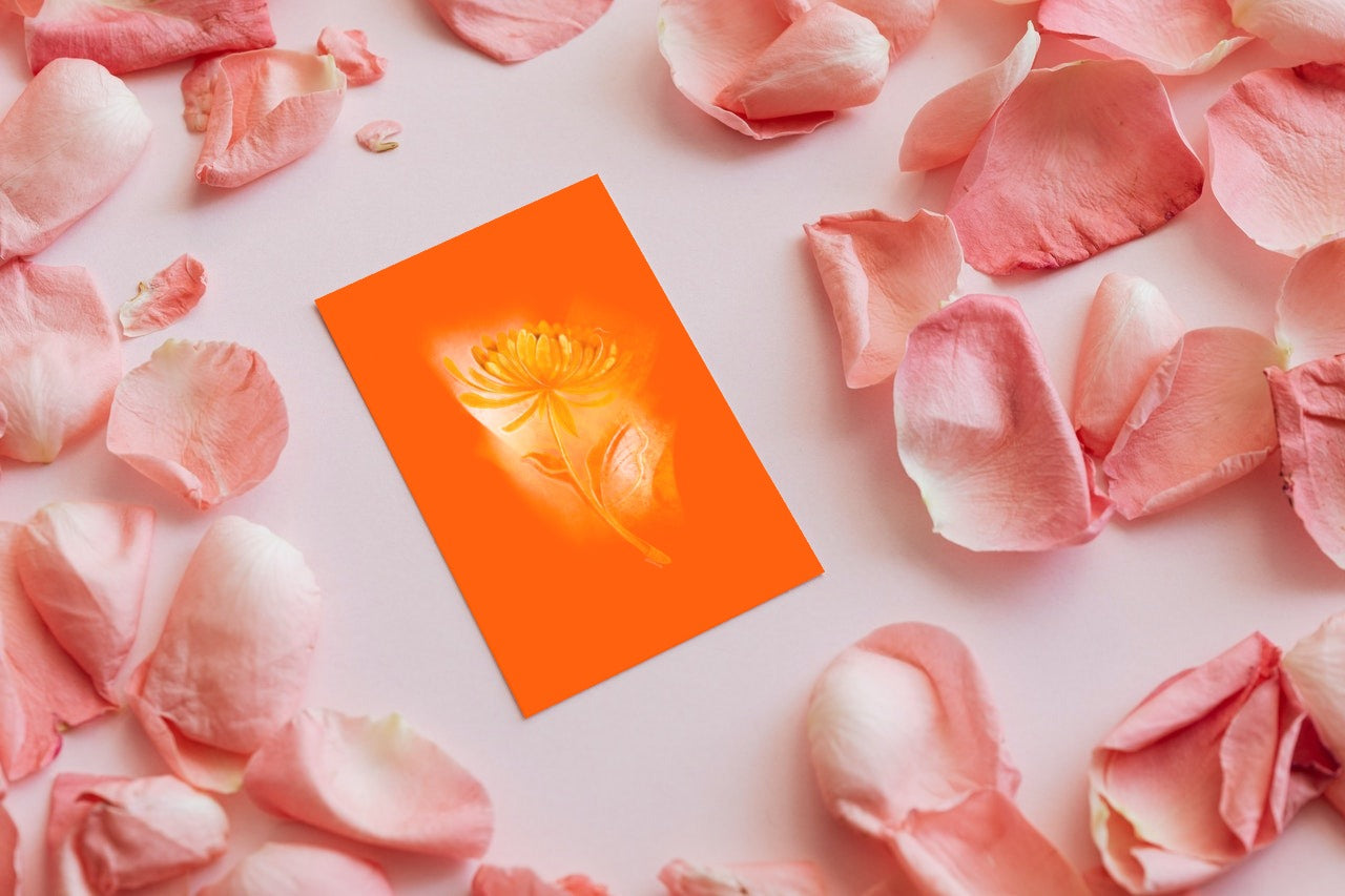 November Chrysanthemum birth flower greeting card styled with soft pink petals for an elegant presentation.