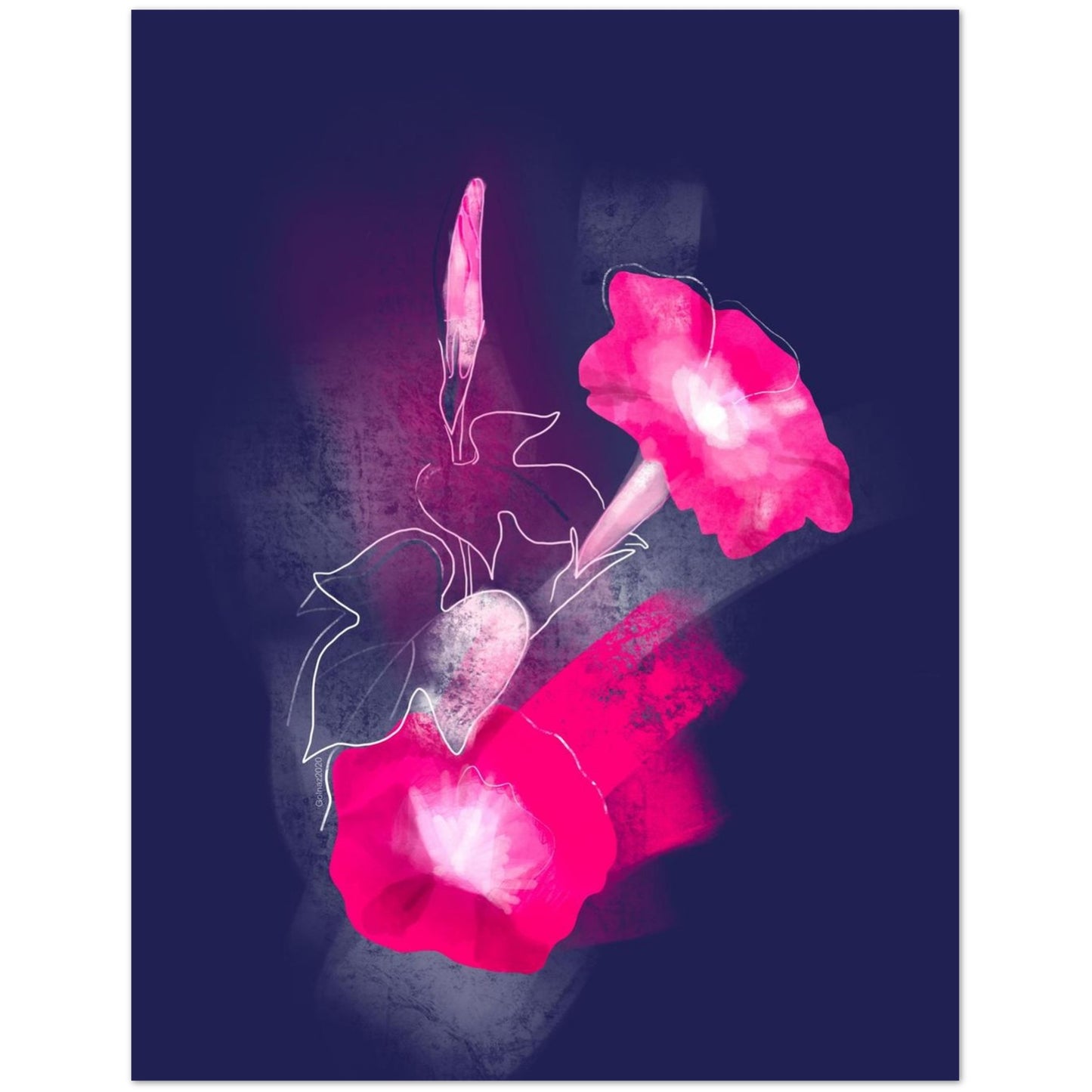 September Morning Glory birth flower greeting card with pink floral artwork