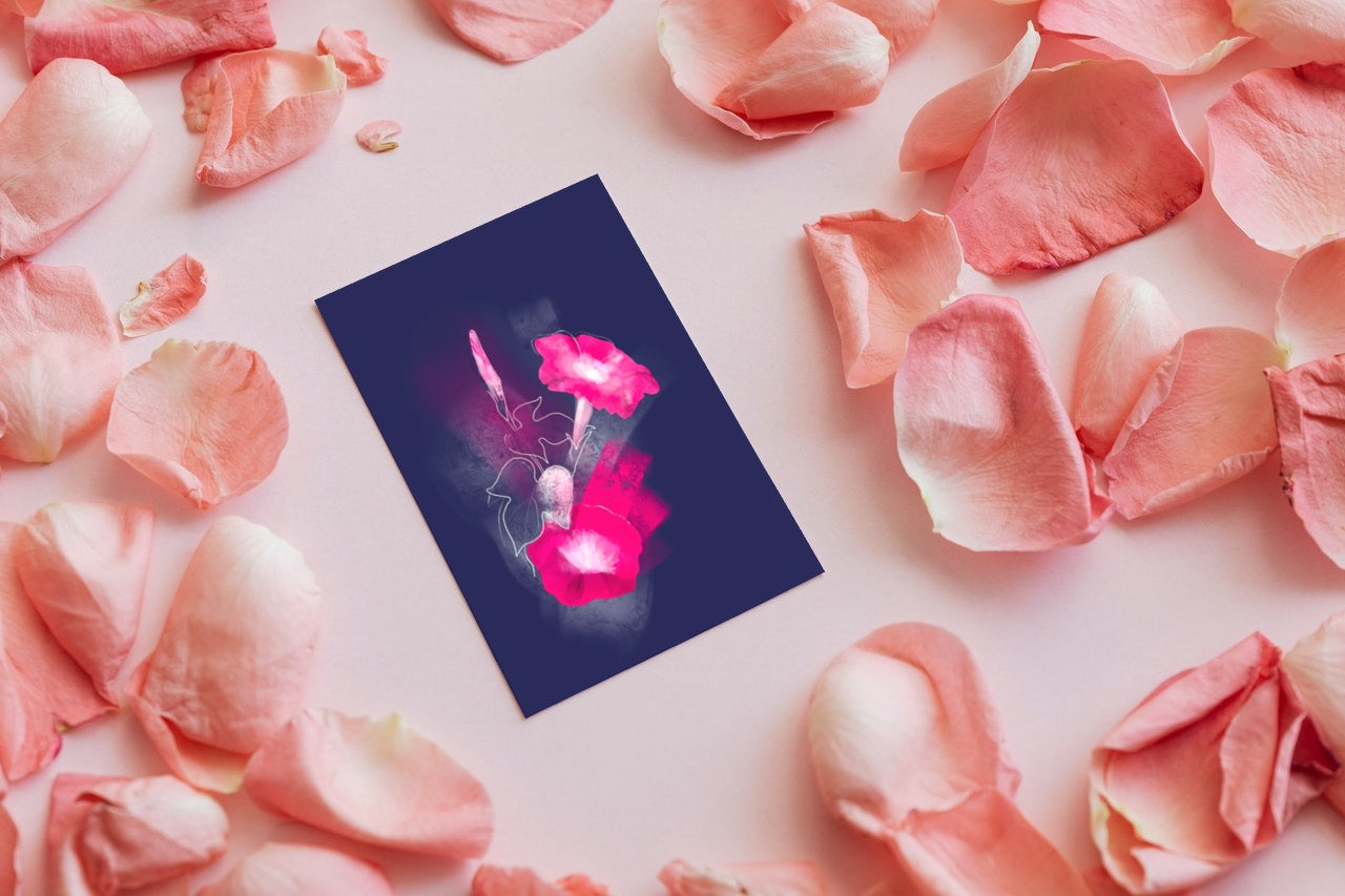 Morning Glory birth flower greeting card for September styled on soft pink petals