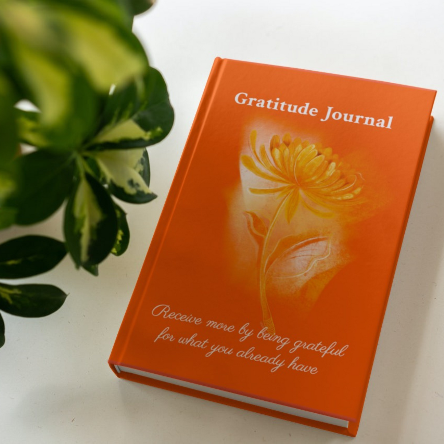 The hardcover version of the gratitude journal by Arisateam near a green plant.